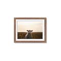 Picture of Grazing Sheep  _GroupedProduct_Rectangle_Landscape_Photography _GroupedProduct_Rectangle_Landscape_Framed_Matted_