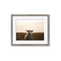Picture of Grazing Sheep  _GroupedProduct_Rectangle_Landscape_Photography _GroupedProduct_Rectangle_Landscape_Framed_Matted_