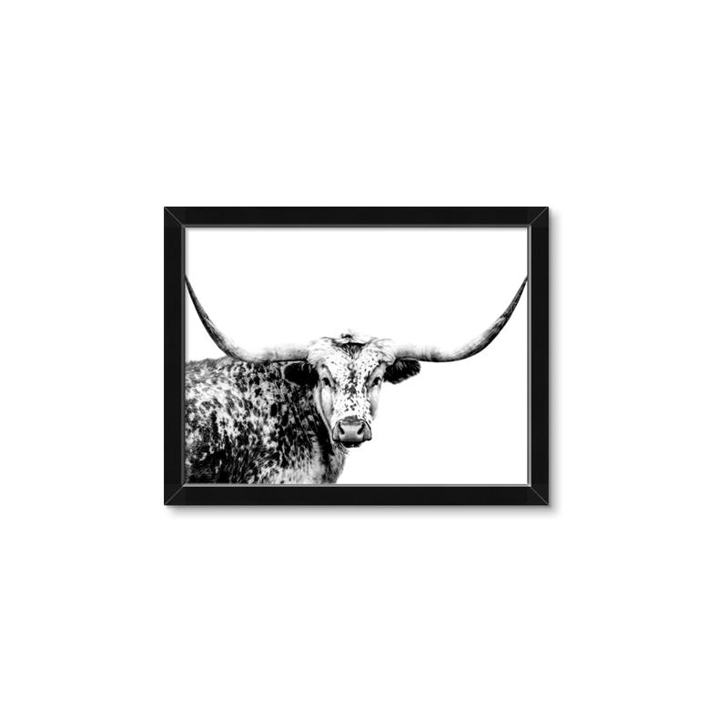 Picture of Jackson, The Bull  _GroupedProduct_Rectangle_Landscape_Photography _GroupedProduct_Rectangle_Landscape_Framed_Matted_
