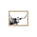 Picture of Jackson, The Bull  _GroupedProduct_Rectangle_Landscape_Photography _GroupedProduct_Rectangle_Landscape_Framed_Matted_