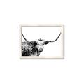 Picture of Jackson, The Bull  _GroupedProduct_Rectangle_Landscape_Photography _GroupedProduct_Rectangle_Landscape_Framed_Matted_