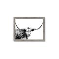 Picture of Jackson, The Bull  _GroupedProduct_Rectangle_Landscape_Photography _GroupedProduct_Rectangle_Landscape_Framed_Matted_
