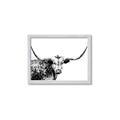 Picture of Jackson, The Bull  _GroupedProduct_Rectangle_Landscape_Photography _GroupedProduct_Rectangle_Landscape_Framed_Matted_