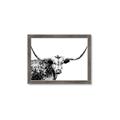 Picture of Jackson, The Bull  _GroupedProduct_Rectangle_Landscape_Photography _GroupedProduct_Rectangle_Landscape_Framed_Matted_