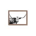 Picture of Jackson, The Bull  _GroupedProduct_Rectangle_Landscape_Photography _GroupedProduct_Rectangle_Landscape_Framed_Matted_