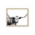 Picture of Jackson, The Bull  _GroupedProduct_Rectangle_Landscape_Photography _GroupedProduct_Rectangle_Landscape_Framed_Matted_