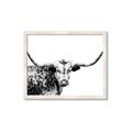 Picture of Jackson, The Bull  _GroupedProduct_Rectangle_Landscape_Photography _GroupedProduct_Rectangle_Landscape_Framed_Matted_