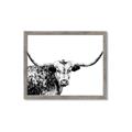 Picture of Jackson, The Bull  _GroupedProduct_Rectangle_Landscape_Photography _GroupedProduct_Rectangle_Landscape_Framed_Matted_