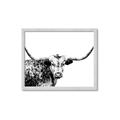 Picture of Jackson, The Bull  _GroupedProduct_Rectangle_Landscape_Photography _GroupedProduct_Rectangle_Landscape_Framed_Matted_