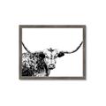 Picture of Jackson, The Bull  _GroupedProduct_Rectangle_Landscape_Photography _GroupedProduct_Rectangle_Landscape_Framed_Matted_