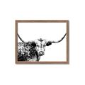 Picture of Jackson, The Bull  _GroupedProduct_Rectangle_Landscape_Photography _GroupedProduct_Rectangle_Landscape_Framed_Matted_