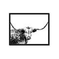 Picture of Jackson, The Bull  _GroupedProduct_Rectangle_Landscape_Photography _GroupedProduct_Rectangle_Landscape_Framed_Matted_
