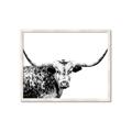 Picture of Jackson, The Bull  _GroupedProduct_Rectangle_Landscape_Photography _GroupedProduct_Rectangle_Landscape_Framed_Matted_
