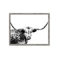 Picture of Jackson, The Bull  _GroupedProduct_Rectangle_Landscape_Photography _GroupedProduct_Rectangle_Landscape_Framed_Matted_