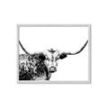 Picture of Jackson, The Bull  _GroupedProduct_Rectangle_Landscape_Photography _GroupedProduct_Rectangle_Landscape_Framed_Matted_