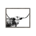 Picture of Jackson, The Bull  _GroupedProduct_Rectangle_Landscape_Photography _GroupedProduct_Rectangle_Landscape_Framed_Matted_