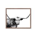 Picture of Jackson, The Bull  _GroupedProduct_Rectangle_Landscape_Photography _GroupedProduct_Rectangle_Landscape_Framed_Matted_