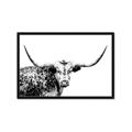 Picture of Jackson, The Bull  _GroupedProduct_Rectangle_Landscape_Photography _GroupedProduct_Rectangle_Landscape_Framed_Matted_