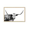 Picture of Jackson, The Bull  _GroupedProduct_Rectangle_Landscape_Photography _GroupedProduct_Rectangle_Landscape_Framed_Matted_
