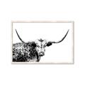 Picture of Jackson, The Bull  _GroupedProduct_Rectangle_Landscape_Photography _GroupedProduct_Rectangle_Landscape_Framed_Matted_