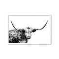 Picture of Jackson, The Bull  _GroupedProduct_Rectangle_Landscape_Photography _GroupedProduct_Rectangle_Landscape_Framed_Matted_