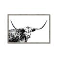 Picture of Jackson, The Bull  _GroupedProduct_Rectangle_Landscape_Photography _GroupedProduct_Rectangle_Landscape_Framed_Matted_