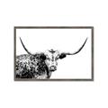 Picture of Jackson, The Bull  _GroupedProduct_Rectangle_Landscape_Photography _GroupedProduct_Rectangle_Landscape_Framed_Matted_