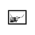 Picture of Jackson, The Bull  _GroupedProduct_Rectangle_Landscape_Photography _GroupedProduct_Rectangle_Landscape_Framed_Matted_