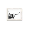 Picture of Jackson, The Bull  _GroupedProduct_Rectangle_Landscape_Photography _GroupedProduct_Rectangle_Landscape_Framed_Matted_