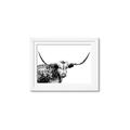 Picture of Jackson, The Bull  _GroupedProduct_Rectangle_Landscape_Photography _GroupedProduct_Rectangle_Landscape_Framed_Matted_