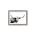 Picture of Jackson, The Bull  _GroupedProduct_Rectangle_Landscape_Photography _GroupedProduct_Rectangle_Landscape_Framed_Matted_