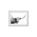 Picture of Jackson, The Bull  _GroupedProduct_Rectangle_Landscape_Photography _GroupedProduct_Rectangle_Landscape_Framed_Matted_