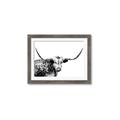 Picture of Jackson, The Bull  _GroupedProduct_Rectangle_Landscape_Photography _GroupedProduct_Rectangle_Landscape_Framed_Matted_