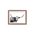 Picture of Jackson, The Bull  _GroupedProduct_Rectangle_Landscape_Photography _GroupedProduct_Rectangle_Landscape_Framed_Matted_