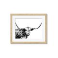 Picture of Jackson, The Bull  _GroupedProduct_Rectangle_Landscape_Photography _GroupedProduct_Rectangle_Landscape_Framed_Matted_