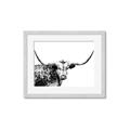 Picture of Jackson, The Bull  _GroupedProduct_Rectangle_Landscape_Photography _GroupedProduct_Rectangle_Landscape_Framed_Matted_
