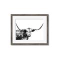 Picture of Jackson, The Bull  _GroupedProduct_Rectangle_Landscape_Photography _GroupedProduct_Rectangle_Landscape_Framed_Matted_