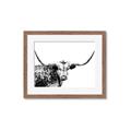 Picture of Jackson, The Bull  _GroupedProduct_Rectangle_Landscape_Photography _GroupedProduct_Rectangle_Landscape_Framed_Matted_