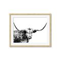 Picture of Jackson, The Bull  _GroupedProduct_Rectangle_Landscape_Photography _GroupedProduct_Rectangle_Landscape_Framed_Matted_
