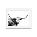Picture of Jackson, The Bull  _GroupedProduct_Rectangle_Landscape_Photography _GroupedProduct_Rectangle_Landscape_Framed_Matted_