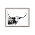 Picture of Jackson, The Bull  _GroupedProduct_Rectangle_Landscape_Photography _GroupedProduct_Rectangle_Landscape_Framed_Matted_