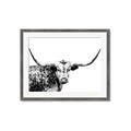 Picture of Jackson, The Bull  _GroupedProduct_Rectangle_Landscape_Photography _GroupedProduct_Rectangle_Landscape_Framed_Matted_