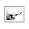 Picture of Jackson, The Bull  _GroupedProduct_Rectangle_Landscape_Photography _GroupedProduct_Rectangle_Landscape_Framed_Matted_