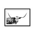Picture of Jackson, The Bull  _GroupedProduct_Rectangle_Landscape_Photography _GroupedProduct_Rectangle_Landscape_Framed_Matted_