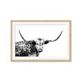 Picture of Jackson, The Bull  _GroupedProduct_Rectangle_Landscape_Photography _GroupedProduct_Rectangle_Landscape_Framed_Matted_