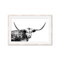 Picture of Jackson, The Bull  _GroupedProduct_Rectangle_Landscape_Photography _GroupedProduct_Rectangle_Landscape_Framed_Matted_