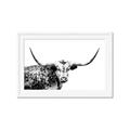 Picture of Jackson, The Bull  _GroupedProduct_Rectangle_Landscape_Photography _GroupedProduct_Rectangle_Landscape_Framed_Matted_