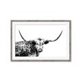 Picture of Jackson, The Bull  _GroupedProduct_Rectangle_Landscape_Photography _GroupedProduct_Rectangle_Landscape_Framed_Matted_