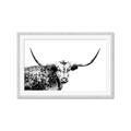Picture of Jackson, The Bull  _GroupedProduct_Rectangle_Landscape_Photography _GroupedProduct_Rectangle_Landscape_Framed_Matted_