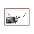 Picture of Jackson, The Bull  _GroupedProduct_Rectangle_Landscape_Photography _GroupedProduct_Rectangle_Landscape_Framed_Matted_